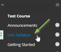 the UAS Syllabus link in the Blackboard menu