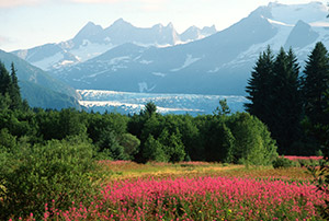 Juneau Mendenhall Glacier