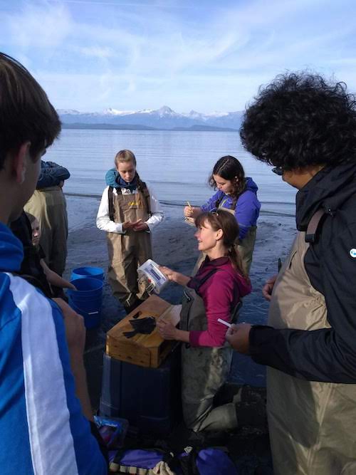 First year UAS biology students collect body condition data on a starry flounder at Eagle Beach with Professor of Marine Biology, Dr. Carolyn Bergstrom.