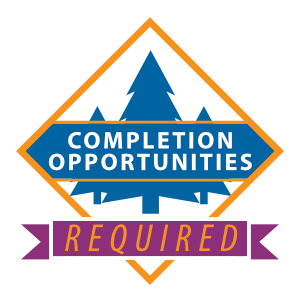 Completion Opportunities