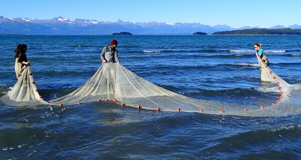 Three people set netting in the surf