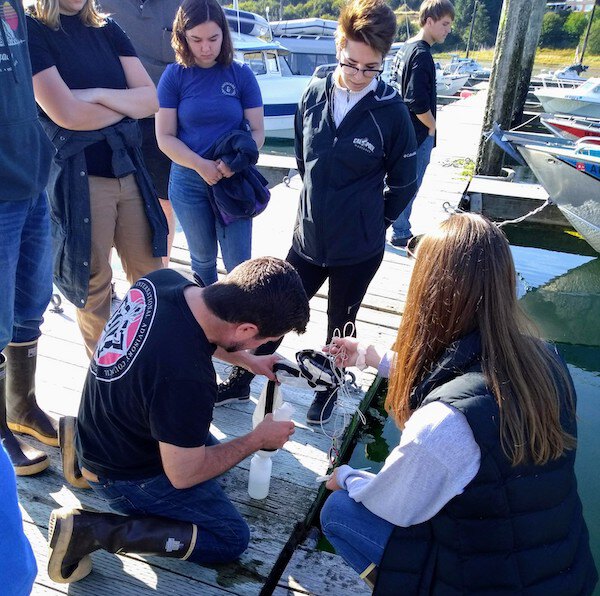 Students and professor performing science on the dock