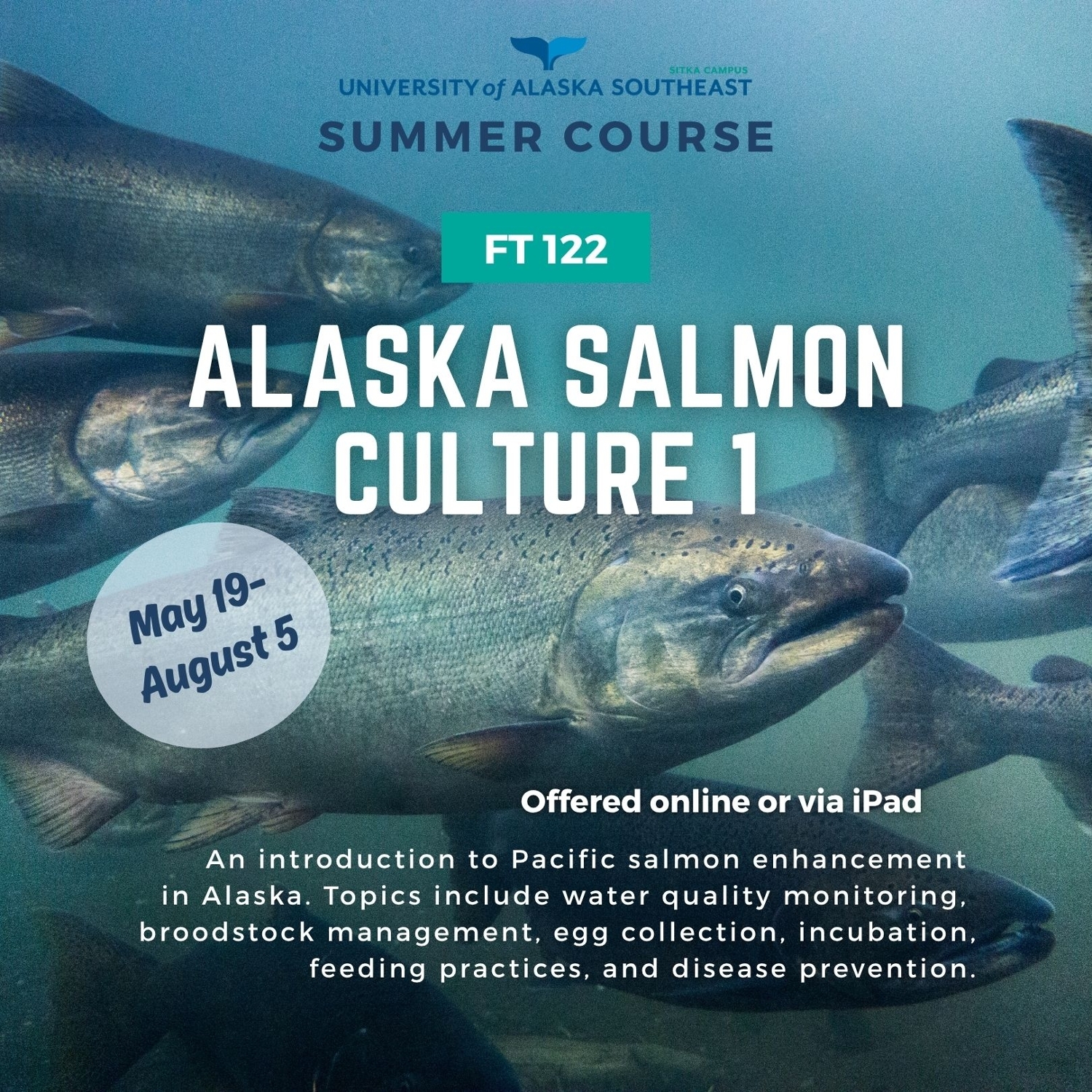 FT122_Summer2025_promo