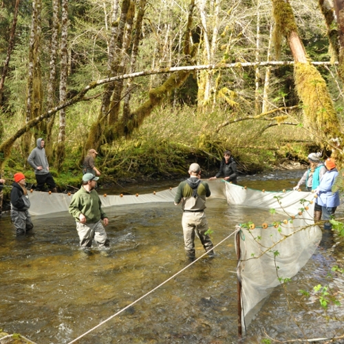 Fisheries Technician