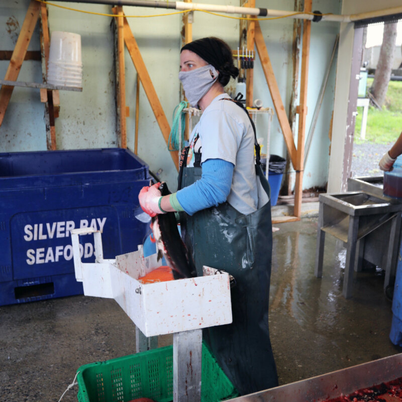 "Fish Culturist" thumbnail image