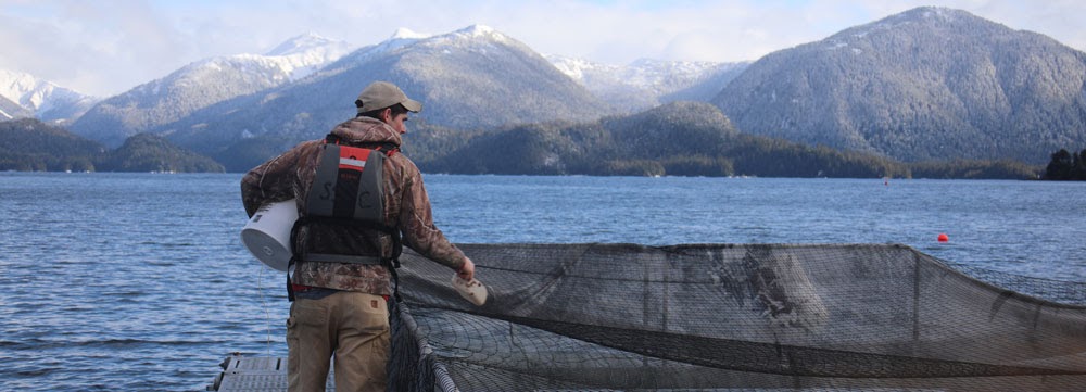 "Alaskan Aquaculture Semester" thumbnail image