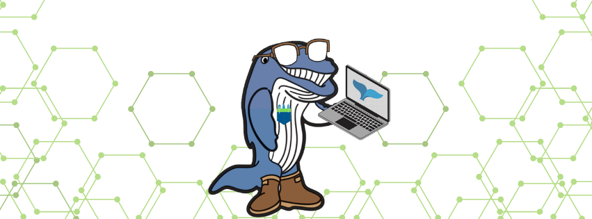 Spike The Whale wearing glasses and holding a laptop behind a geometric green background