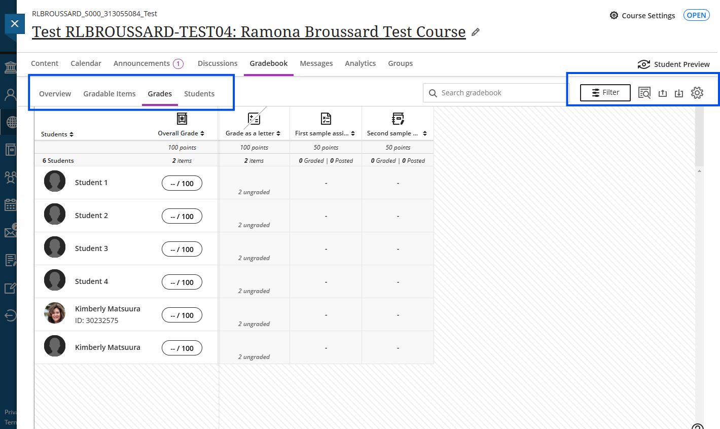 A screenshot of the Blackboard ultra spreadsheet sylte 