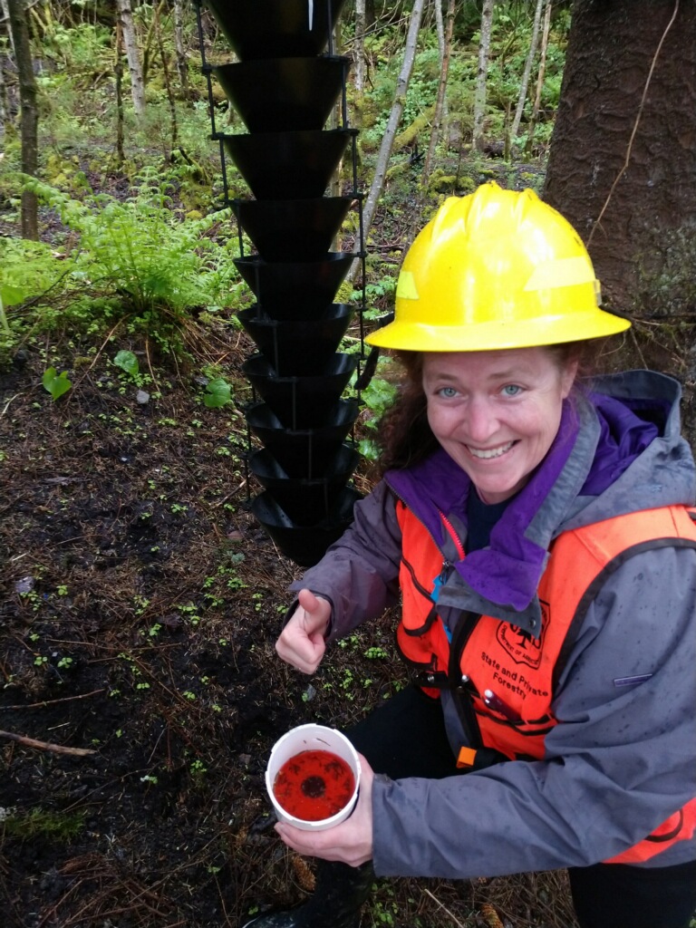 Dr. Elizabeth Graham, Entomologist,  USDA Forest Service, Forest Health Protection