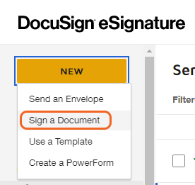DocuSign New button. Click New and select the second option labled 