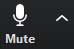 Audio Mute/Unmute toggle button