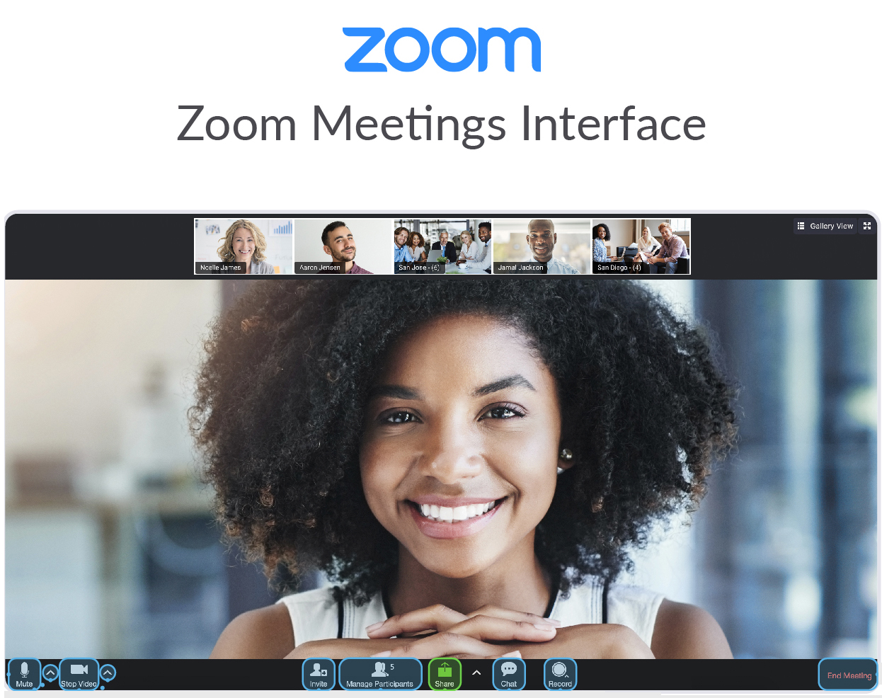 Zoom Meeting Interface guide