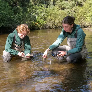 Two students kneeling down in a stream.