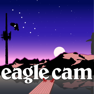 The EagleCam Logo