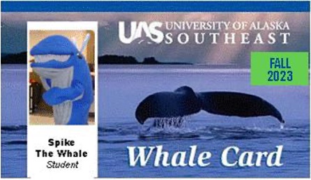 UAS Whale Card ID